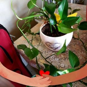 Meet your Posher, Marion